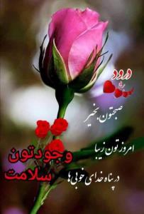 سلام و درود صبحتون بخیر 🌺