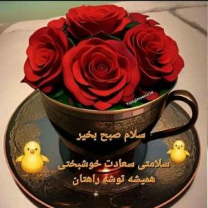 سلام خوبی صبح بخیر انشاالله همیشه شاد باشی انشاالله همیشه 