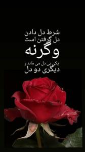 شب بخیر