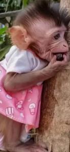 رند شدی مبارک یلدا باجی 🐒1388