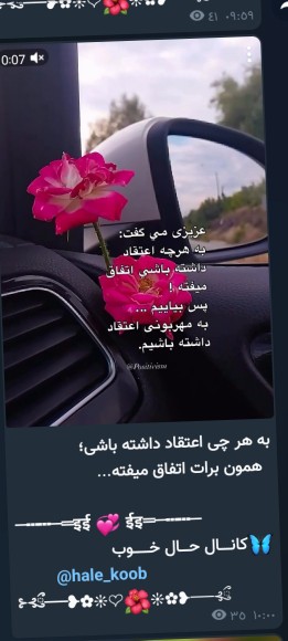 🌹🌹🌹