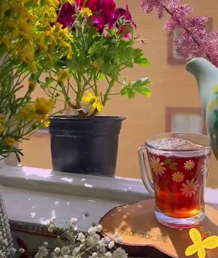 سلام 🌱