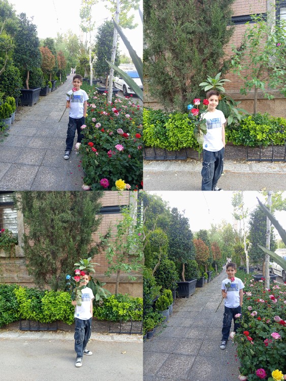 سلام صبح زیباتون قشنگ🌻🌹🌻🌹