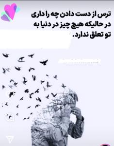 سخن ناب