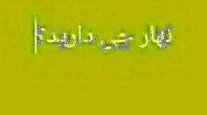 نهار امروز روز نوش جان انشاالله همیشه شاد باشی انشاالله 