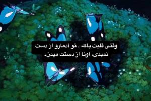 پس لعنت به قلبم ک...