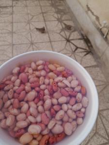 سر آشپز عکاسخونه میخواد واسه تون ناهار قورمه سبزی بپزه😌😄😄