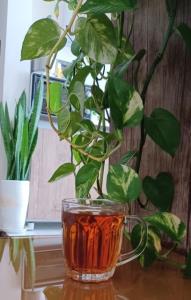 چای همیشه میچسبه 