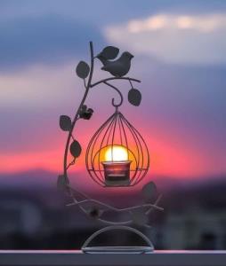 شبتون بخیر🌜