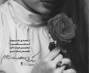 از همه 