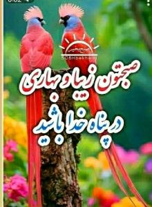 سلام خوبی صبح بخیر انشاالله همیشه شاد باشی انشاالله همیشه 