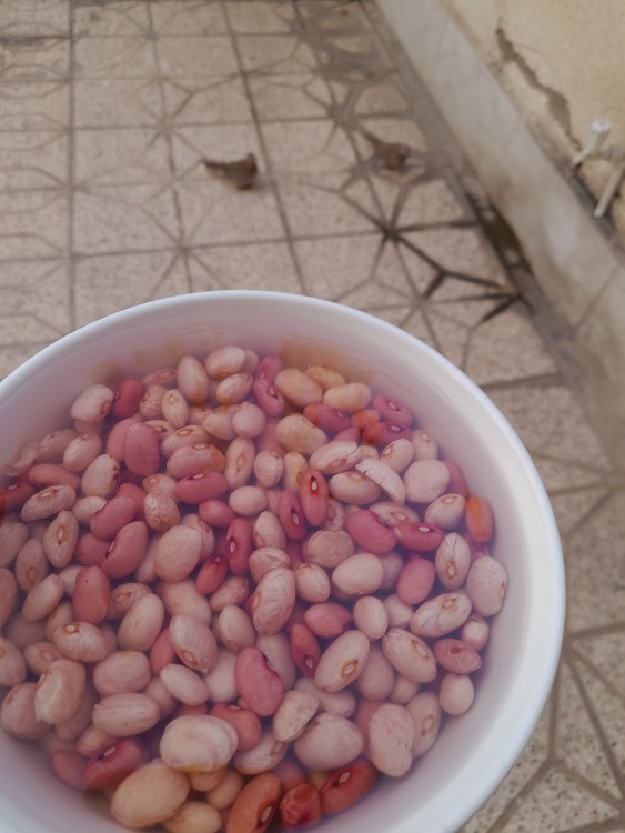 سر آشپز عکاسخونه میخواد واسه تون ناهار قورمه سبزی بپزه😌😄😄