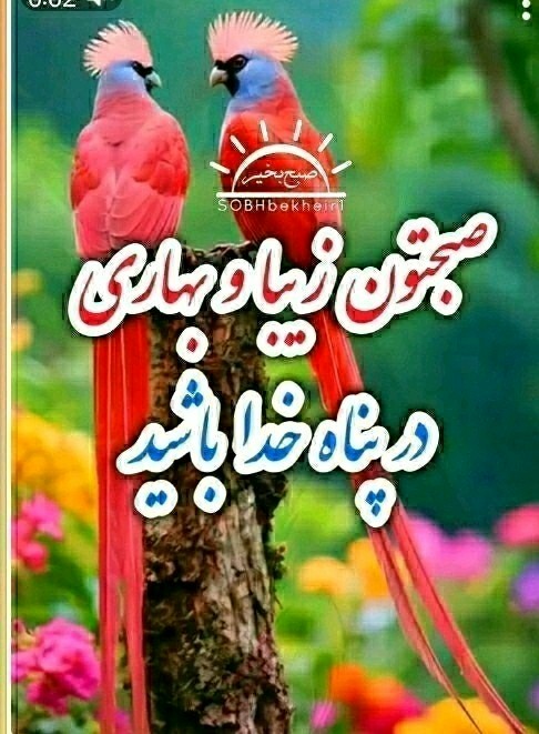 سلام خوبی صبح بخیر انشاالله همیشه شاد باشی انشاالله همیشه 