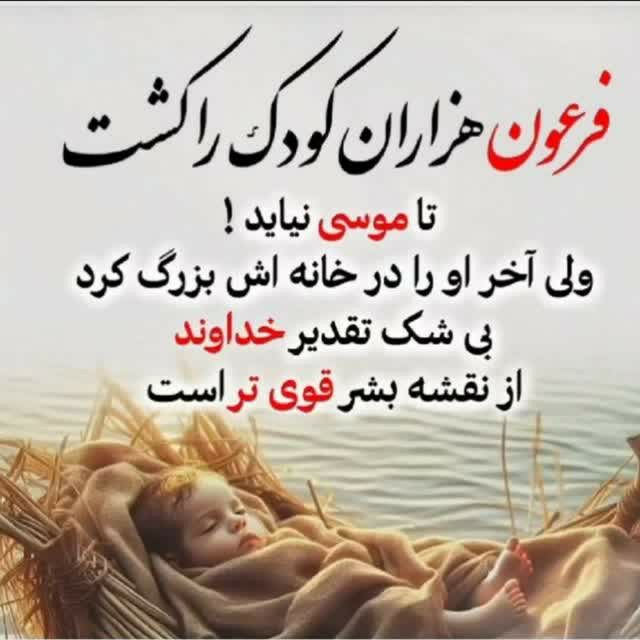 صدر صد .............