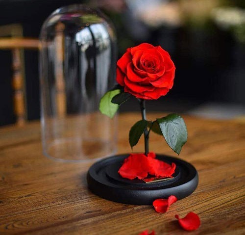 🌹