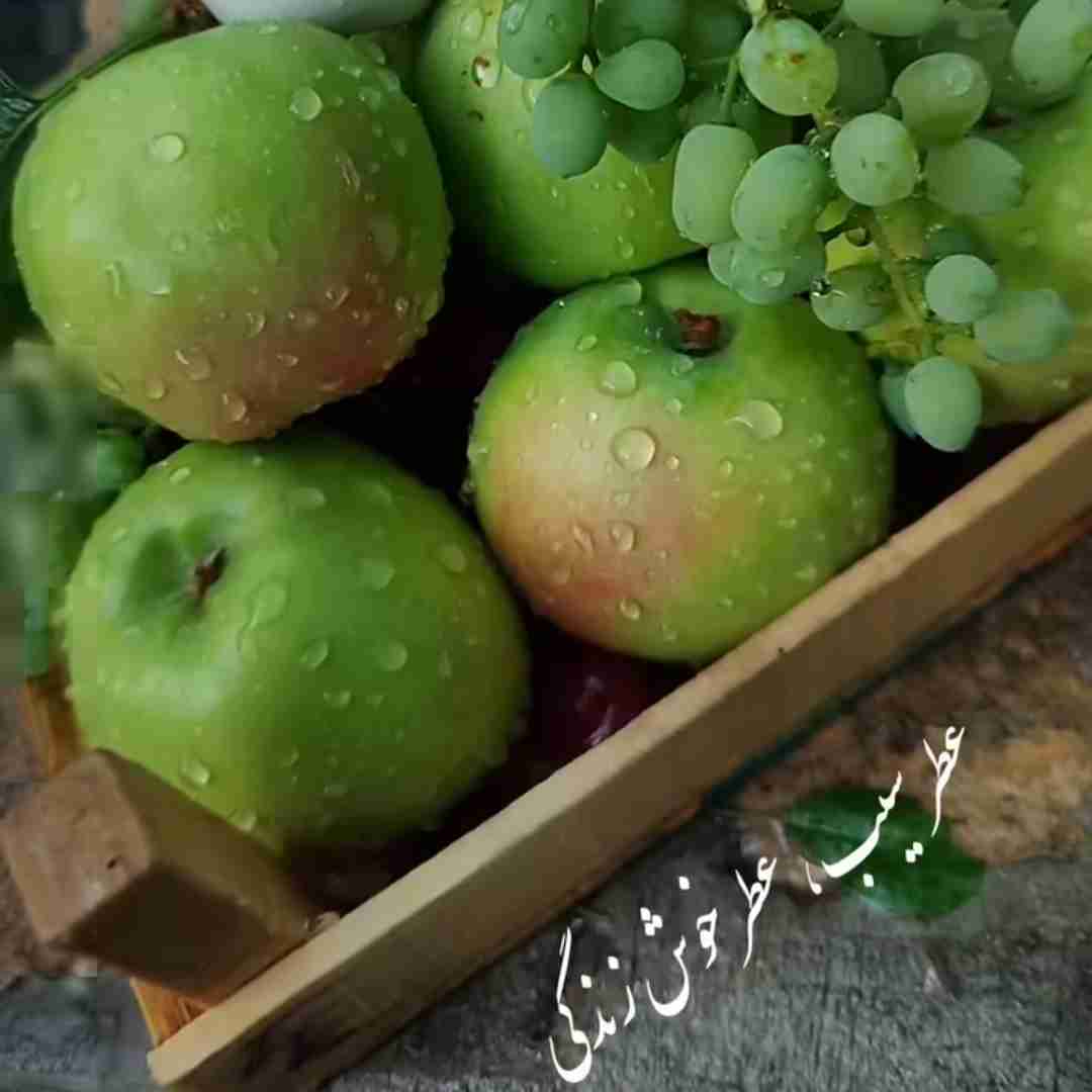 عطرهای زندگی را فراموش نکنید