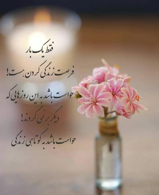 شادی هَمین جاست هَمین لَحظِه