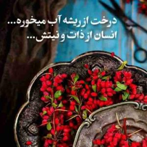 مهربان باشید، اما
از آدم‌های پرتوقع فاصله بگیرید
مقیاست را به هم می‌زنند 
و حرمتِ مهرت را می‌شکنند. 
آن‌ها حافظه ضعیفی دارند، 
خوبی‌ها را زود فراموش می‌کنند...

🙂🤍
  ‎‎