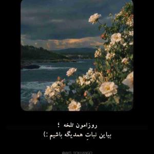 فرق زیادی هست بین کسی که 
در قله به دنیا آمده و کسی که 
کوه را بالا رفته تا به قله رسیده

