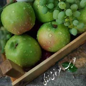 عطرهای زندگی را فراموش نکنید