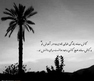 کاش میشد زندگی خوابی ابدی بود