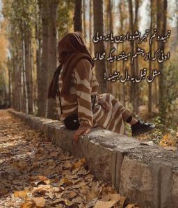 ،