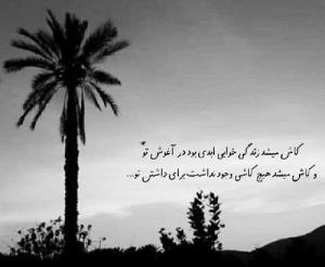 کاش میشد زندگی خوابی ابدی بود