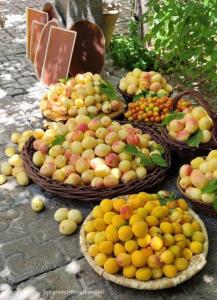عصرتون زیبا