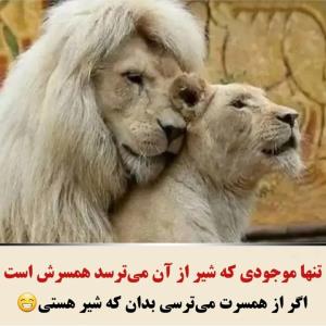 😂😂
