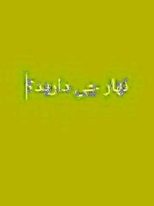 سوال پرسیدم نهار چی درست کردی خانم 