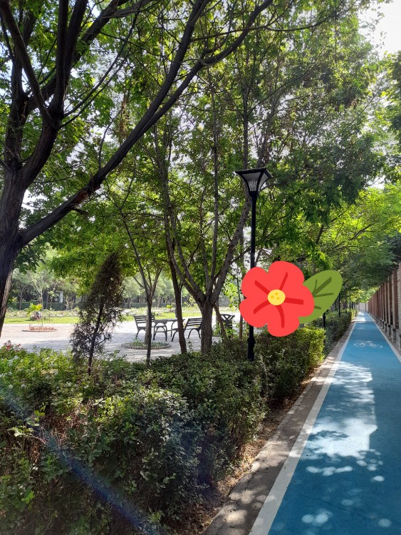 سلام دوستان خوب عکاسخونه 🙋‍♀️صبح ساعت ۶ ونیم رفتم 