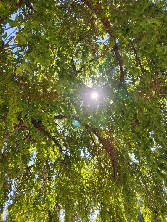 عین بهشته😍🤩