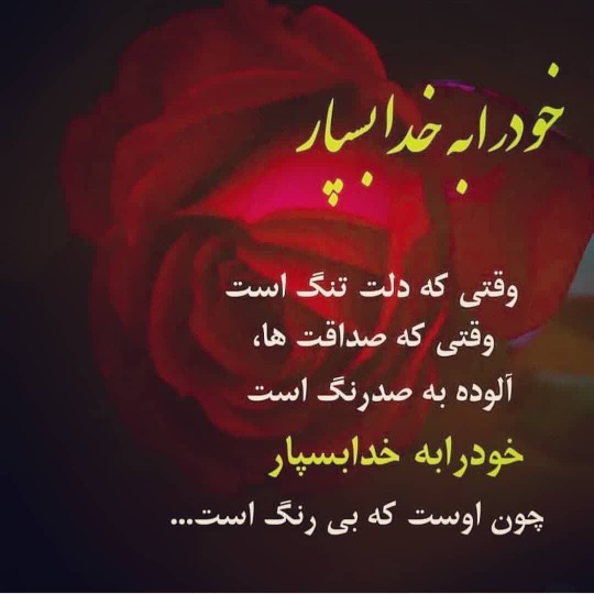 فقط خدا