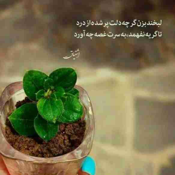 از من به شما نصیحت:
کسی که همیشه سعی میکنه بقیه رو شاد کنه
بیشتر از همه تنهاست
اون رو تنها نذارید
چون هیچوقت به شما نمیگه که بهتون نیاز داره …..
