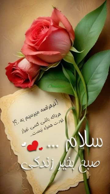 🌹🌹🌹