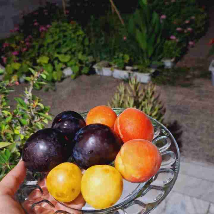 

حال خوب یعنی وقتی در لحظه زندگی می‌کنی و از کوچک‌ترین چیزها لذت می‌بری. یعنی آرامش در درون خود پیدا کنی، حتی در میان سختی‌ها..🥰🪴🌔
