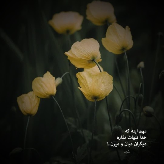 فقط خدا تنهات نزاره ...