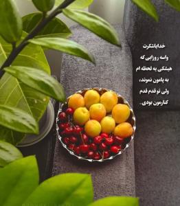 ❤️خدایا شکرت❤️