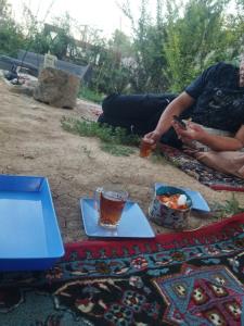 داخل باغ جای دوستان خالی 