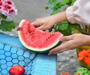 حوالی یک عصر آرام،عصر پنج شنبه تان دلنشین 🌺🍒🍒🌺👇...