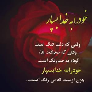 فقط خدا