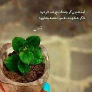 از من به شما نصیحت:
کسی که همیشه سعی میکنه بقیه رو شاد کنه
بیشتر از همه تنهاست
اون رو تنها نذارید
چون هیچوقت به شما نمیگه که بهتون نیاز داره …..
