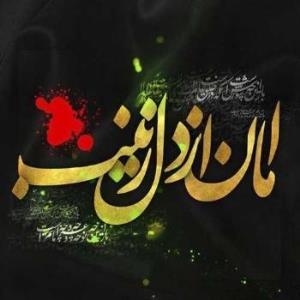 سلام برقلب صبوربی بی زینب✋🖤😘🙏🏼تقدیم ب ارادتمندان بی بی ع