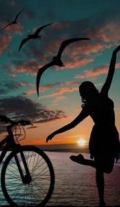 آرام گرفته ای...آنطرف تر اینهمه شلوغی..
