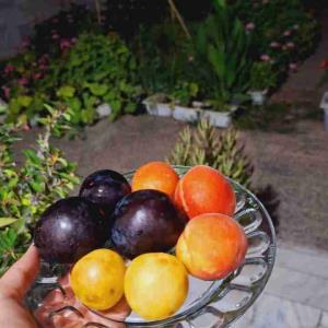 

حال خوب یعنی وقتی در لحظه زندگی می‌کنی و از کوچک‌ترین چیزها لذت می‌بری. یعنی آرامش در درون خود پیدا کنی، حتی در میان سختی‌ها..🥰🪴🌔
