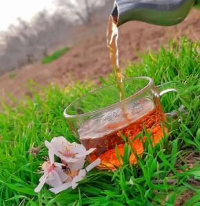 خدایا شکرت که هستی و برامون خدایی میکنی🌹