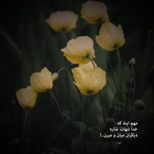 فقط خدا تنهات نزاره ...