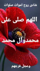 🕯عصرپنجشنبه است
🌸به یاد مسافران بهشتی،
🕯تمام سفرکرده ها..