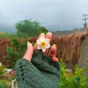 من به هر حال که باشم؛ به تو می اندیشم ...