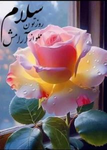 برای دوستانم روز خوش⚘🦋⚘🦋